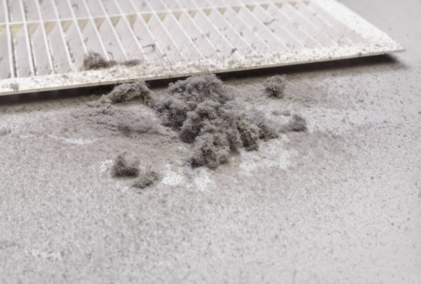 Best Best Air Duct Cleaning Company  in Lake City, IA