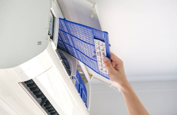 Best HVAC System Cleaning  in Lake City, IA