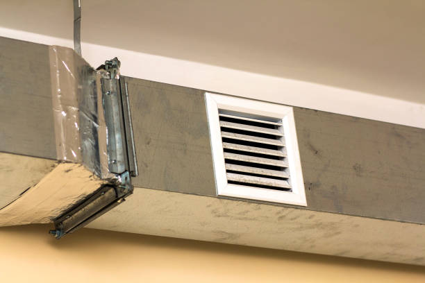 Best Air Vent Cleaning Services  in Lake City, IA